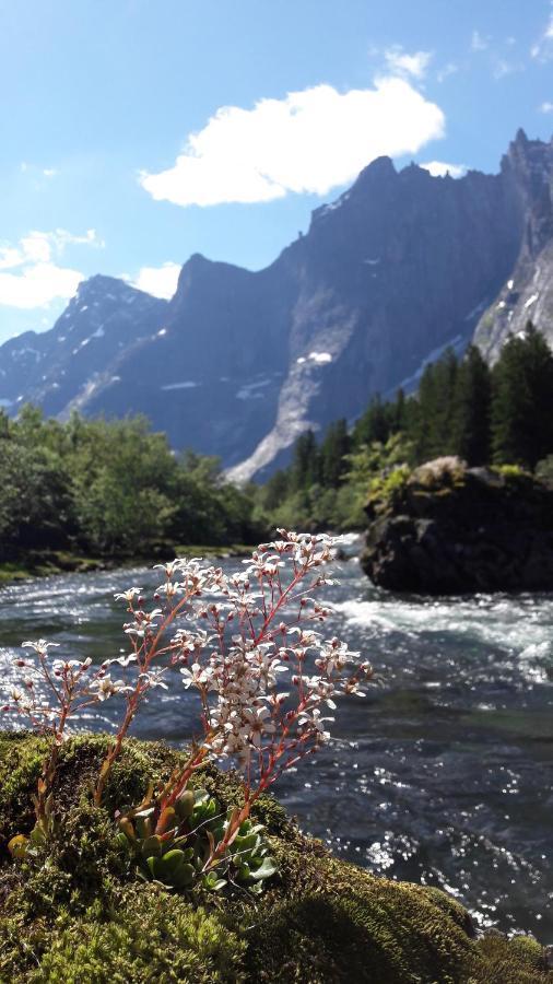 Trollveggen Camping Åndalsnes Екстериор снимка